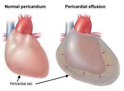 www.informazionimediche.com