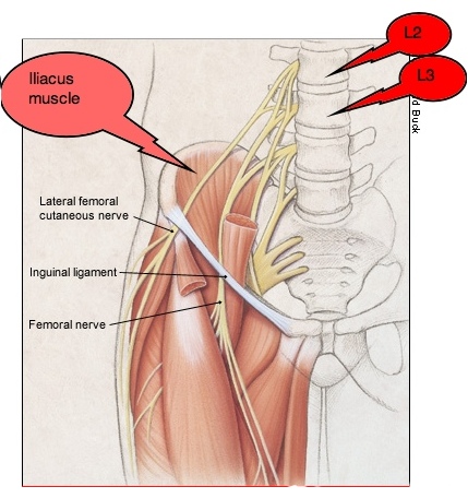 Meralgia-informazioni.jpg