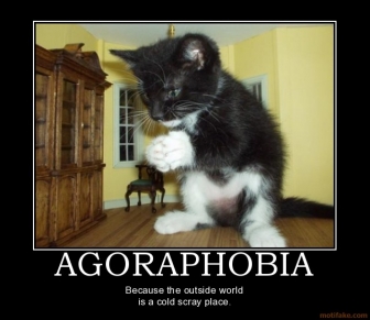 Agorafobia : un problema grave che va compreso