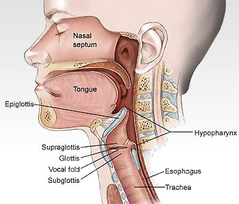 Sindrome della bocca urente