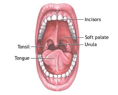 Sindrome della bocca urente