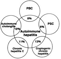 Epatite autoimmune : sintomi, cause, diagnosi e cure