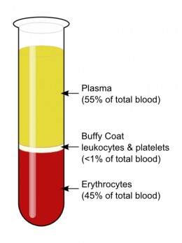 esame del sangue plasma.jpg