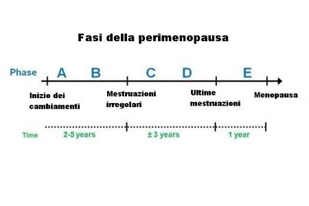 fasi della perimenopausa.jpg