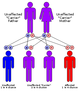 Fenilchetonuria-malattie rare-ability channel-talassemia-celiachia-fenilchetonuria farmaci-fenilchetonuria studi-PKU