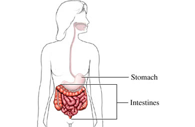 Gastroenterite virale: sintomi e cure