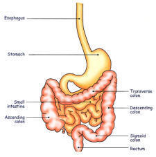 sindrome dell'intestino irritabile