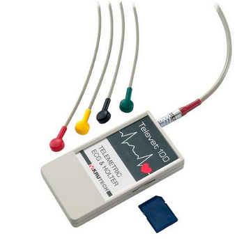 holter-imagine.png