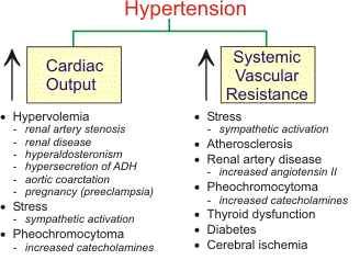 ipertensione secondaria 21.gif