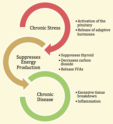 Gestione dello stress : analisi  e rimedi