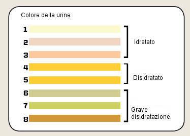 Colore delle urine