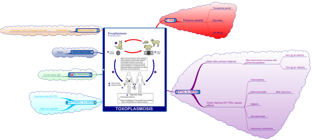 toxopla1.png