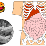 rp_intossicazione-alimentare.gif