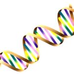 La sinrome di Lynch: genetica e terapie