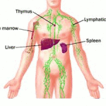 rp_linfoadenite-mesenterica1.gif