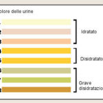 Colore delle urine