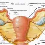 Insufficienza cervicale